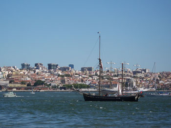 ginjal_vista.jpg