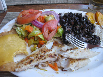 cr_monteverde_casado